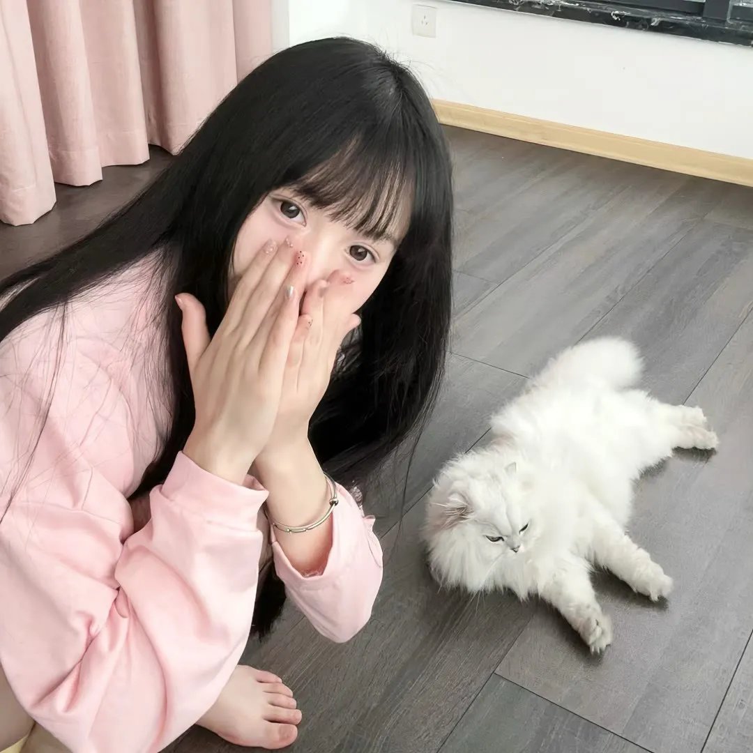 万物生灵海报
